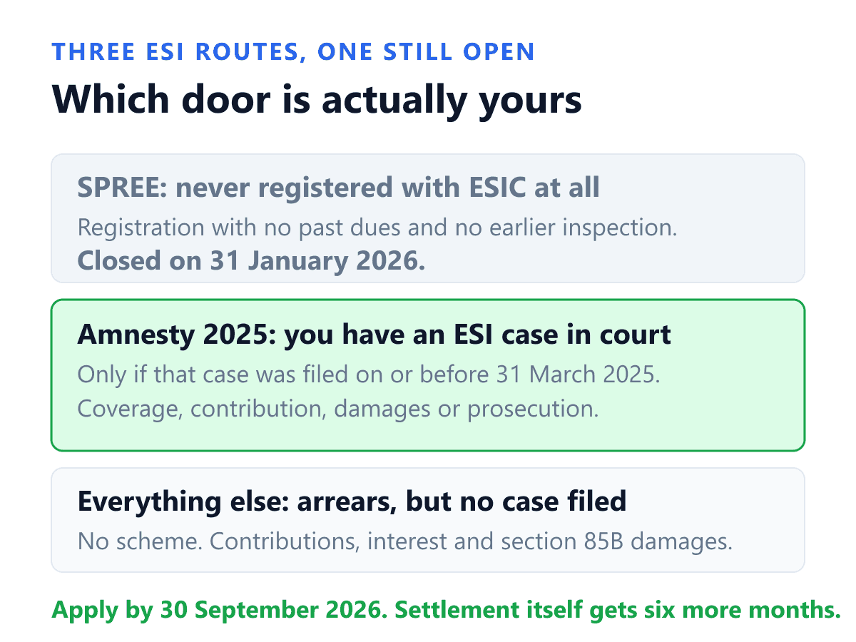 Three different Employees State Insurance relief routes for Indian employers, only one of which is still open in September 2026, shown as three stacked rows. The first row is SPREE, the Scheme to Promote Registration of Employers and Employees, for a business that was never registered with ESIC at all; it closed on 31 January 2026 and is marked shut. The second row is the Amnesty Scheme 2025, for a business with an ESI court case that was already filed on or before 31 March 2025; it is marked open until 30 September 2026 and is the only route still available. The third row covers everything else, an ordinary arrears default with no case filed, which has no scheme at all and is settled by paying contributions plus interest plus damages under section 85B in the normal way. The footer states that the 30 September date is the deadline to apply, not the deadline to finish, because a case has six months from the application to be settled.