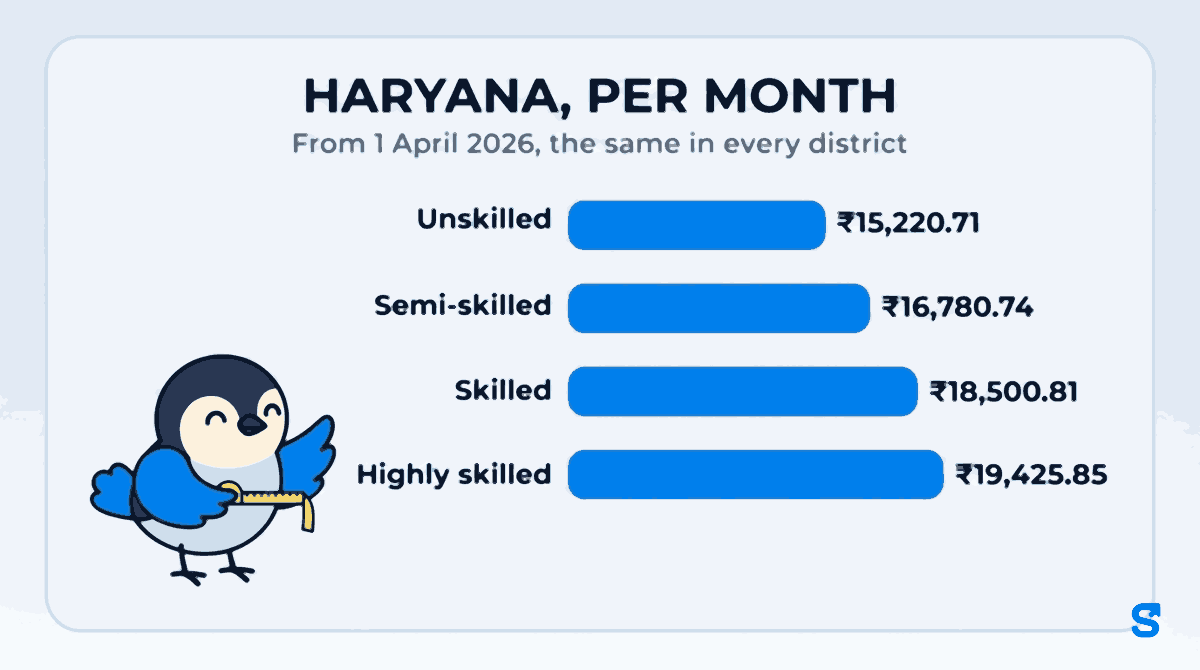 Haryana minimum wage per month from 1 April 2026, the same in every district: unskilled ₹15,220.71, semi-skilled ₹16,780.74, skilled ₹18,500.81, highly skilled ₹19,425.85. Chiri the bird measures the bars with a tape.
