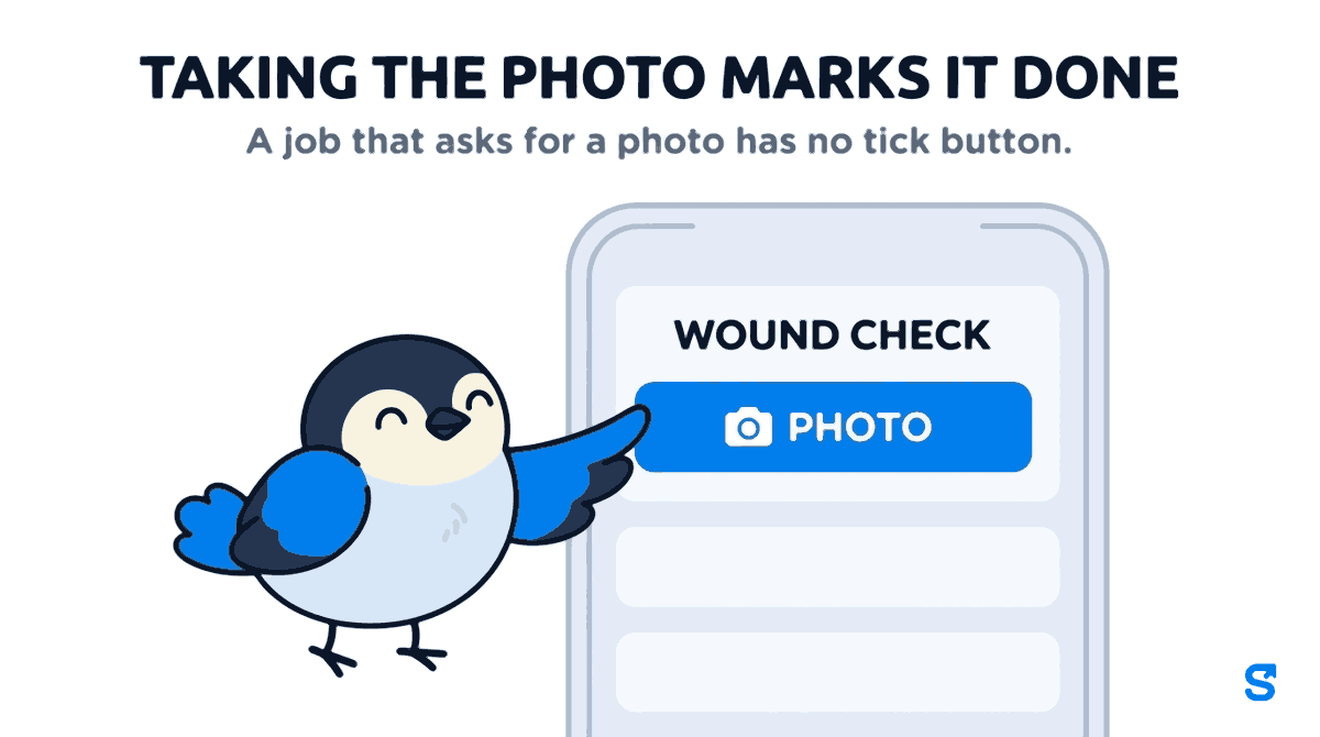 Infographic headed Taking the photo marks it done, with the line a job that asks for a photo has no tick button. A phone shows a Wound check job with a blue Photo button and a camera icon, and a small bird presses that Photo button with its wing tip.